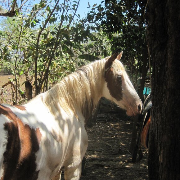 Meet your Posher, Elyse - Picture 1 of 1